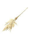 Vara larga pampa trigo surt 75 cm  (no incluye jarrón)